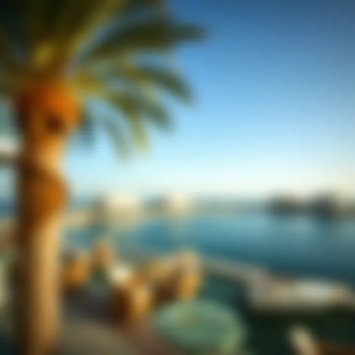Magnificent Pointe Palm Jumeirah: A Comprehensive Exploration