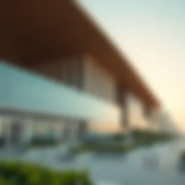 Magnificent Yas Land: Exploring the Potential of Dubai's Emerging Neighborhood Magnificent Yas Land: Exploring the Potential of Dubai's Emerging Neighborhood