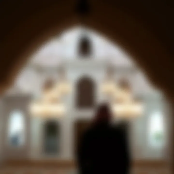 Exploring Al Khawaneej: A Comprehensive Overview Summary
