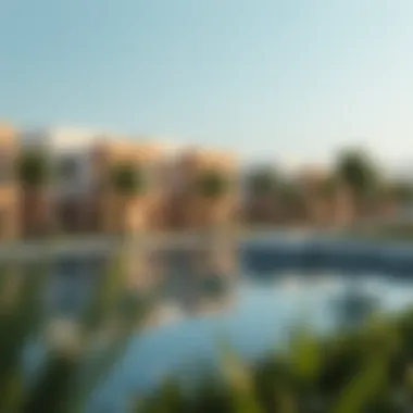 Exploring Muhaisnah 2 and Sonapur: A Deep Dive into Dubai's Real Estate Landscape Summary Exploring Muhaisnah 2 and Sonapur: A Deep Dive into Dubai's Real Estate Landscape Summary