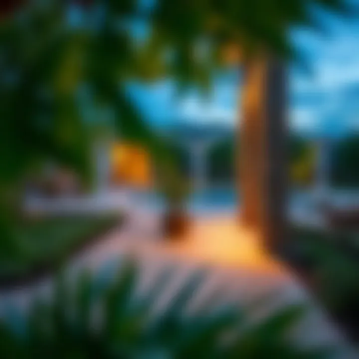 Notable Exploring the Creek Vista Grande: A Comprehensive Overview