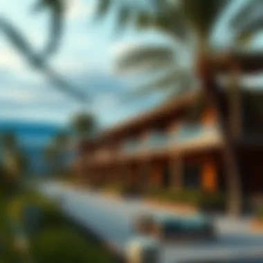 Exploring the Creek Vista Grande: A Comprehensive Overview Summary