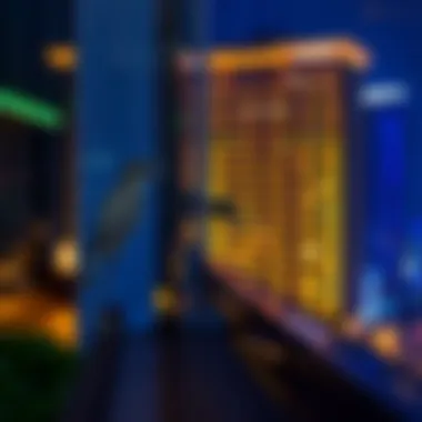Notable Exploring the Paramount Midtown Hotel in Dubai: An Insightful Overview