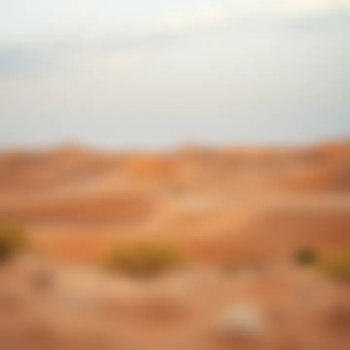 The serene landscape of the Liwa Desert showcasing natural beauty