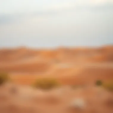 Liwa Desert: Nature's Tranquil Escape The serene landscape of the Liwa Desert showcasing natural beauty