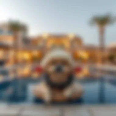 Luxury Amenities in Manazil Al Raffa Luxurious amenities available in Manazil Al Raffa