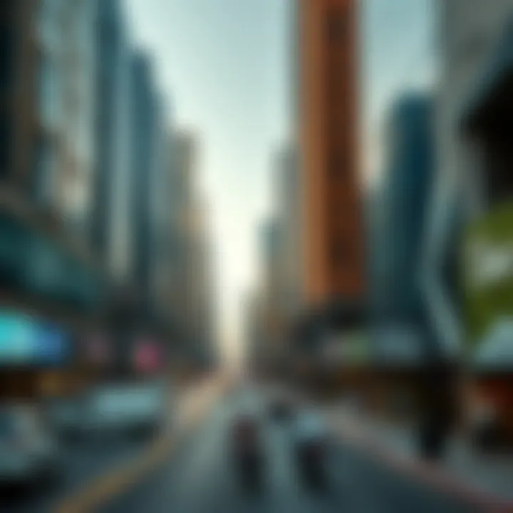 Navigating the Urban Landscape: Downtown Dubai Summary