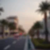Understanding Palm Strips in Dubai's Real Estate Landscape Introduction